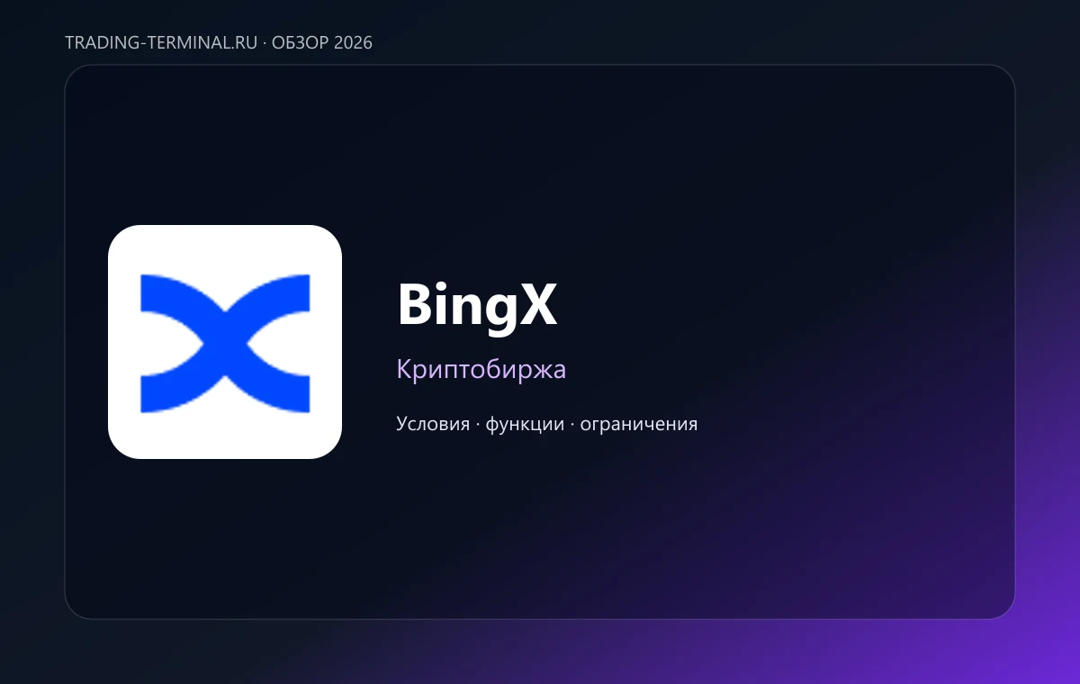 BingX — обложка обзора