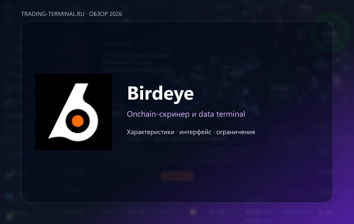 Birdeye — обложка обзора