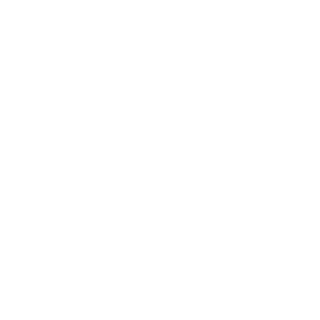 TRANSAQ — логотип