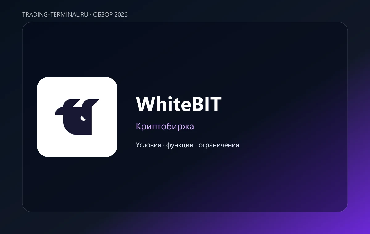 WhiteBIT — обложка обзора